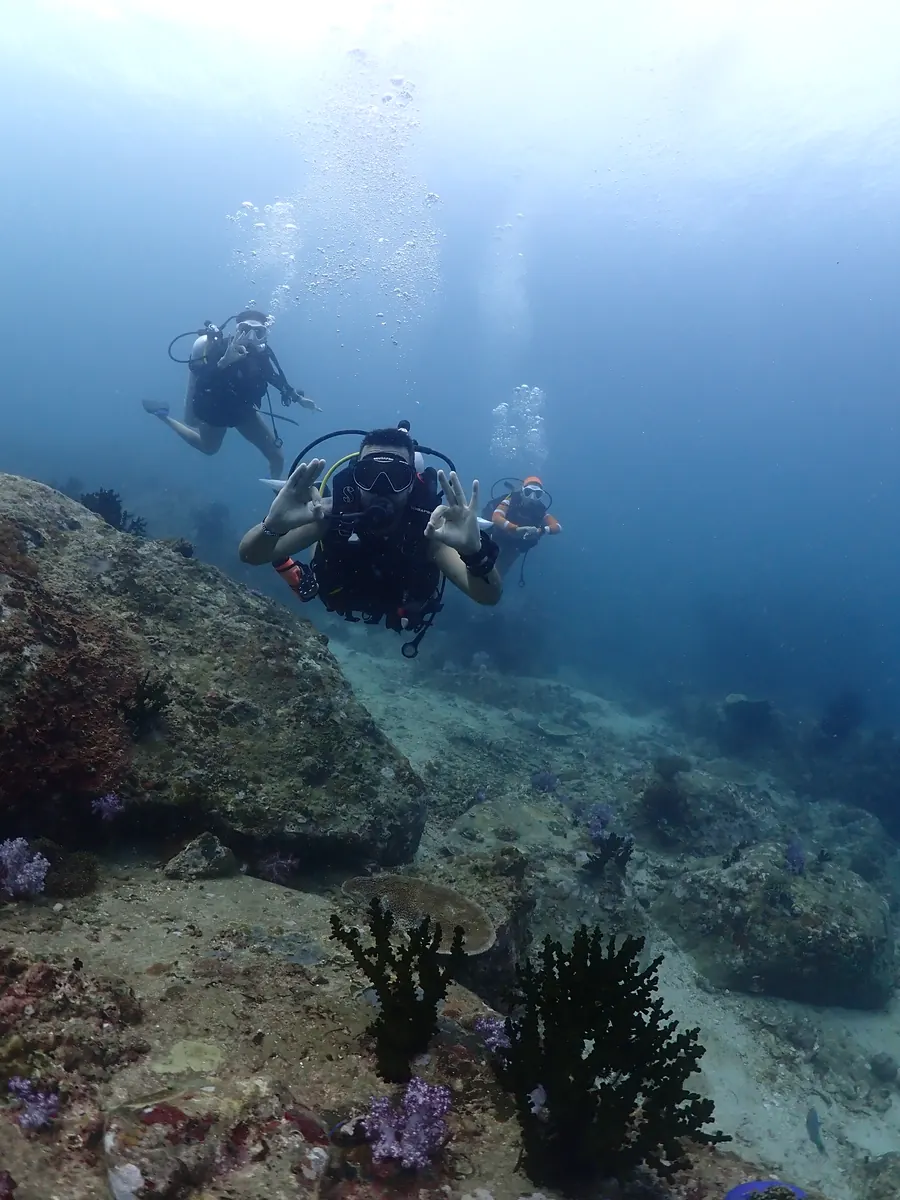 Open Water Diver