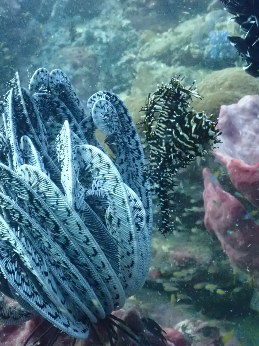 Yong Hua shipwreck
