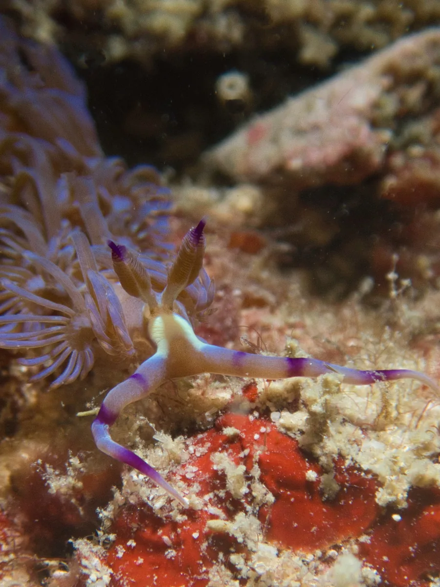 Fun diving sites